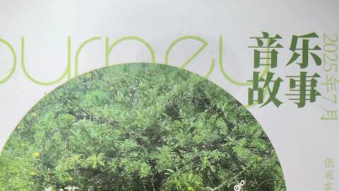 默认计划 