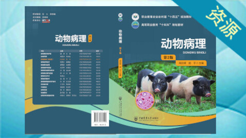 默认计划 