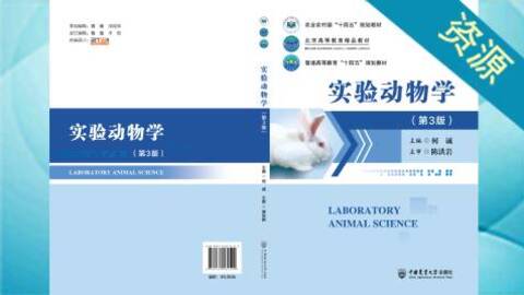 默认计划 