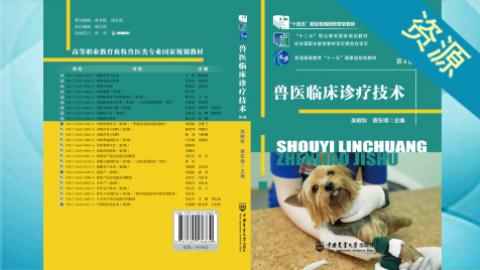 默认计划 