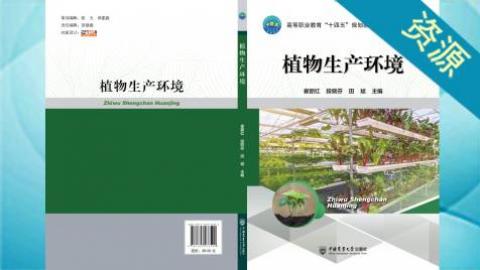 默认计划 